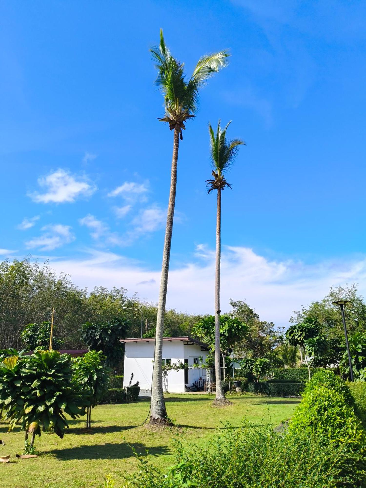 The Lodge At Koh Kood Ko Kut Kültér fotó