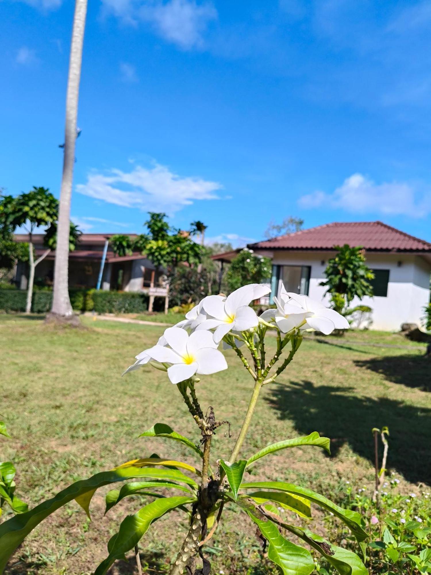 The Lodge At Koh Kood Ko Kut Kültér fotó
